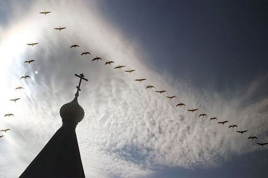 Petites nouvelles russes - Un vol de grues