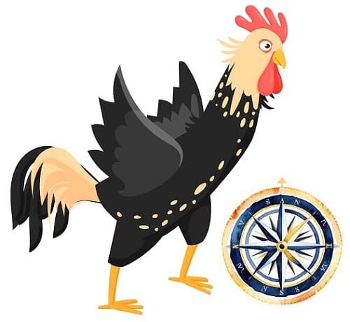 Petites nouvelles russes : Un coq