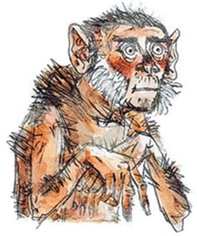 Petites nouvelles russes : un singe