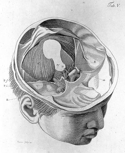 Petites nouvelles russes : 31- Centre de l'imagination